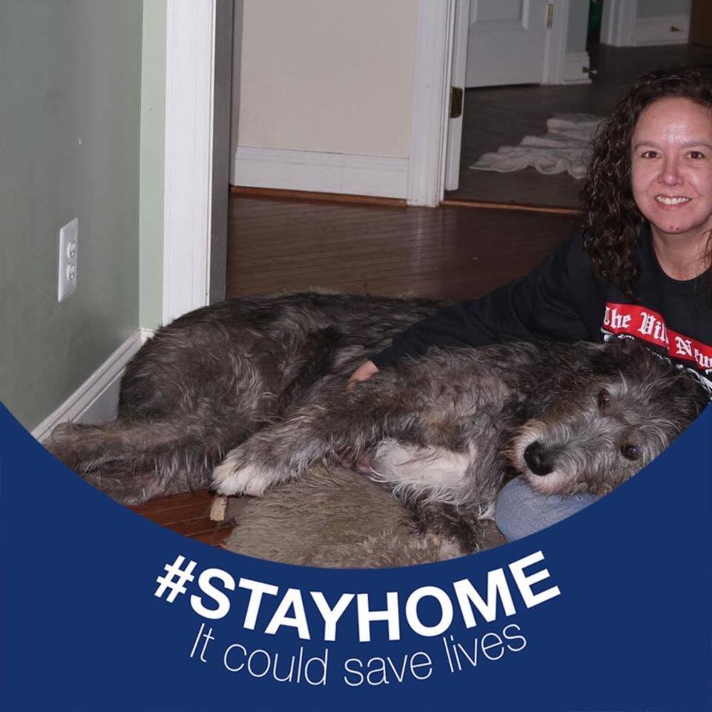 Meet your Posher, Sara